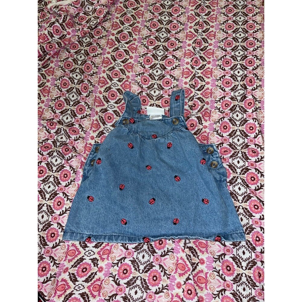 Girl’s Nicole Miller Ladybug Print Denim Dress Size 0-3 Months